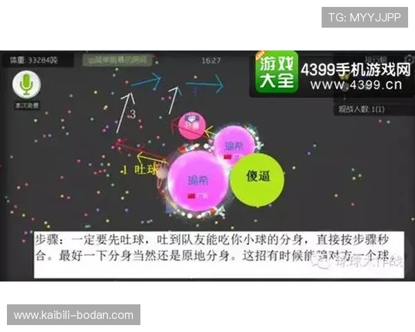玩球波胆大小球结合品牌入口下载评测防骗避坑